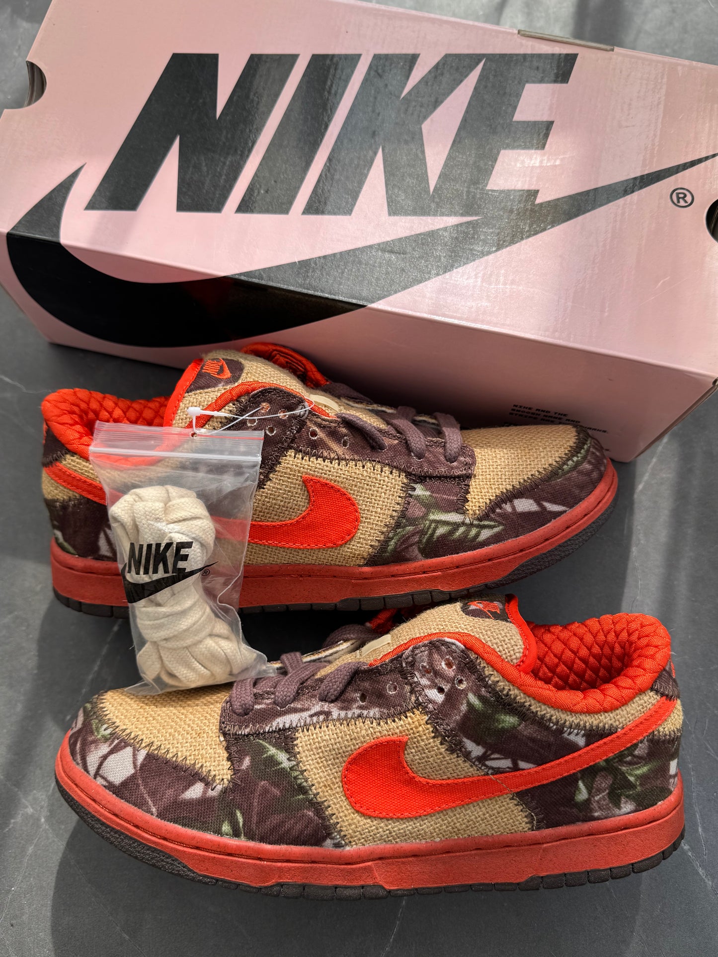 Dunk Low Pro SB Reese Forbes Hunter 2004