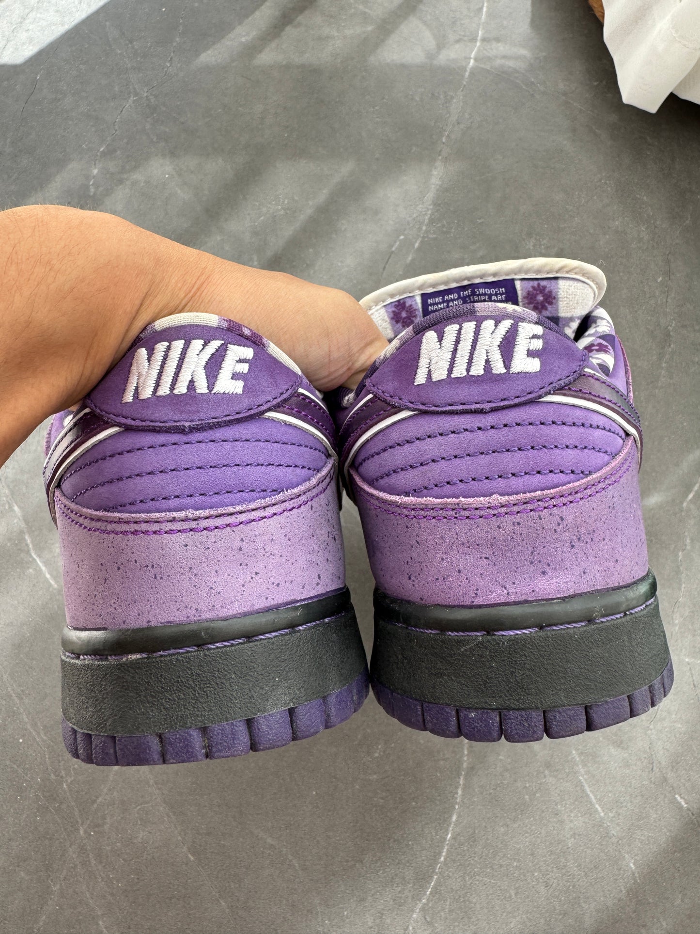 Dunk Low Pro SB Purple Lobster US9