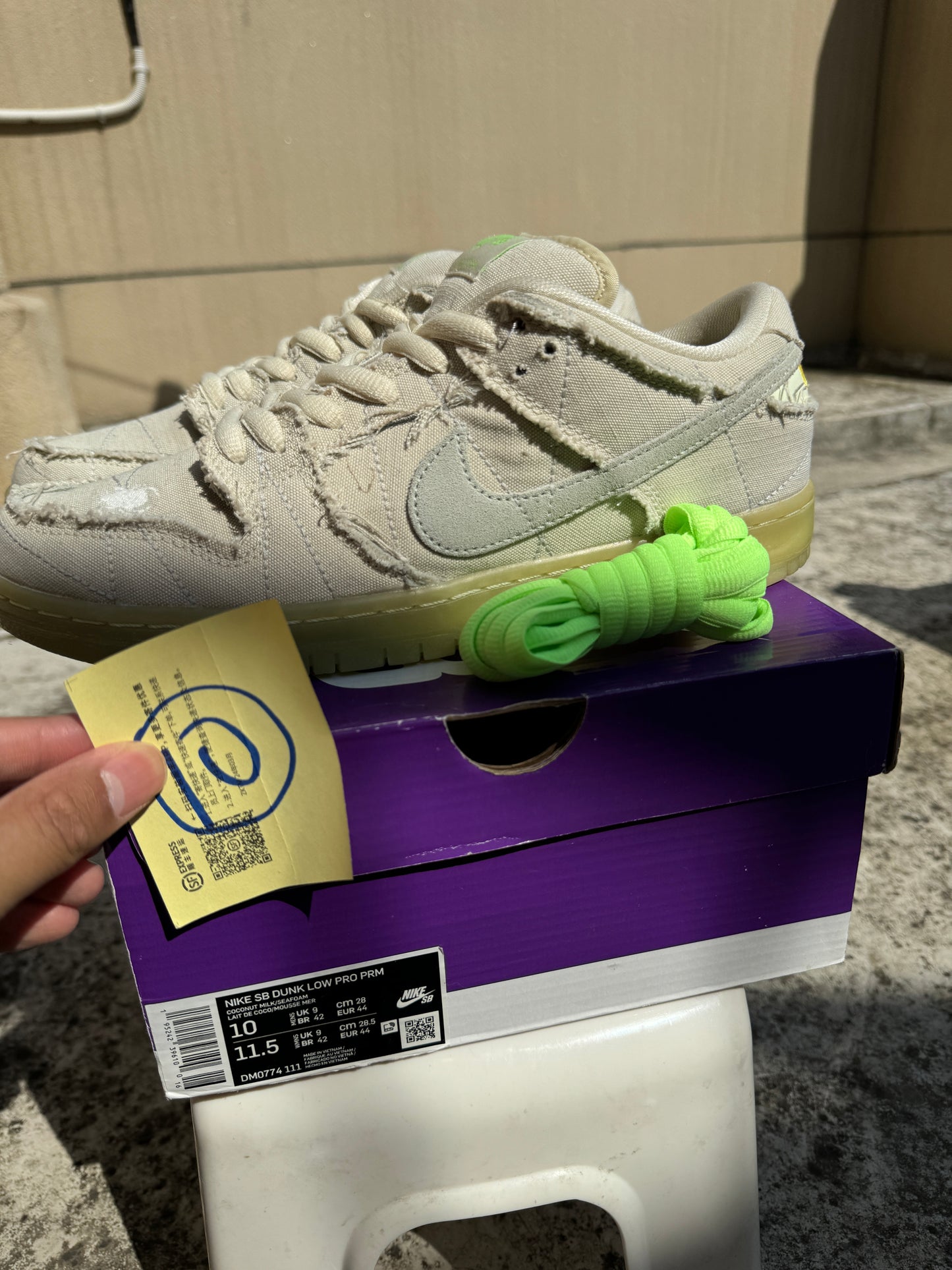 🔟 Dunk Low Pro SB Mummy US10