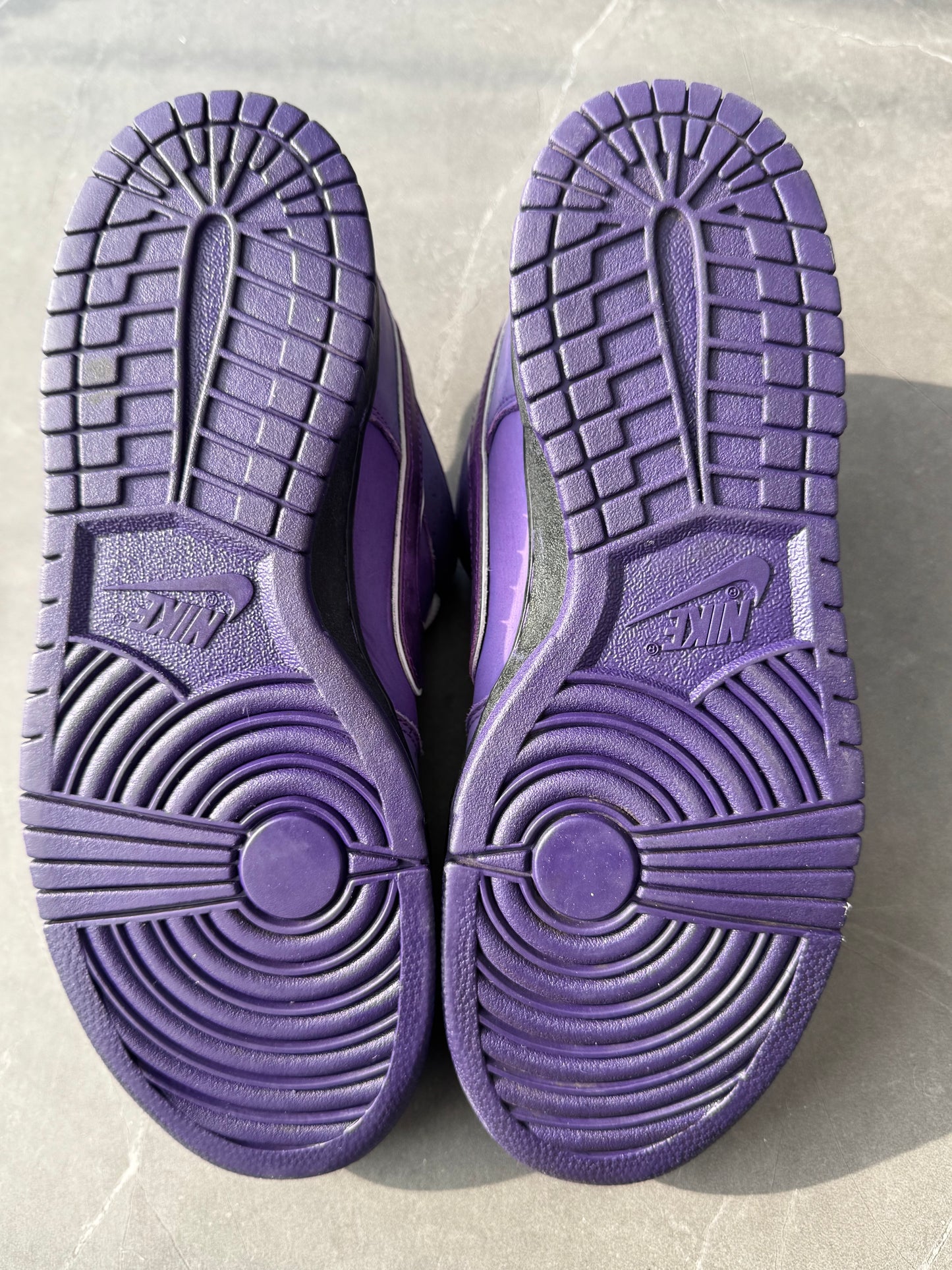 Dunk Low Pro SB Purple Lobster US9.5