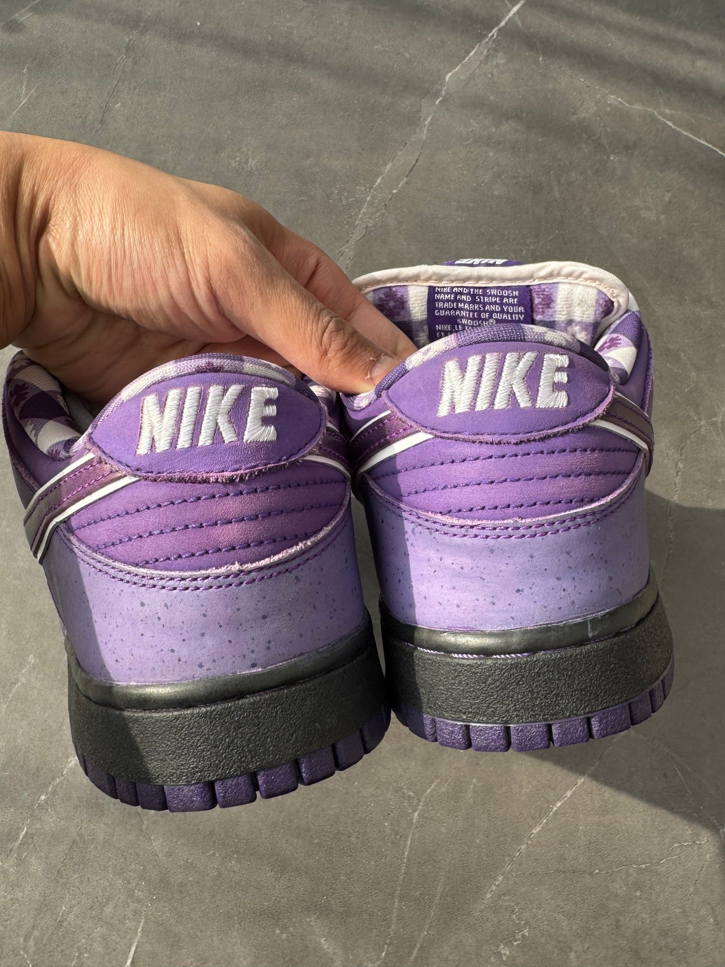 Dunk Low Pro SB Purple Lobster US9.5