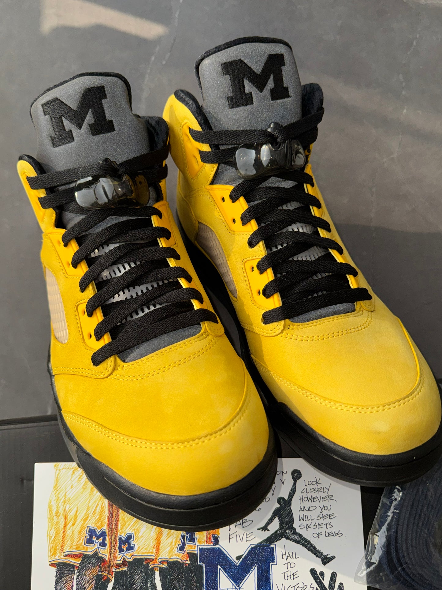 Air Jordan 5 Michigan "Fab Five" PE