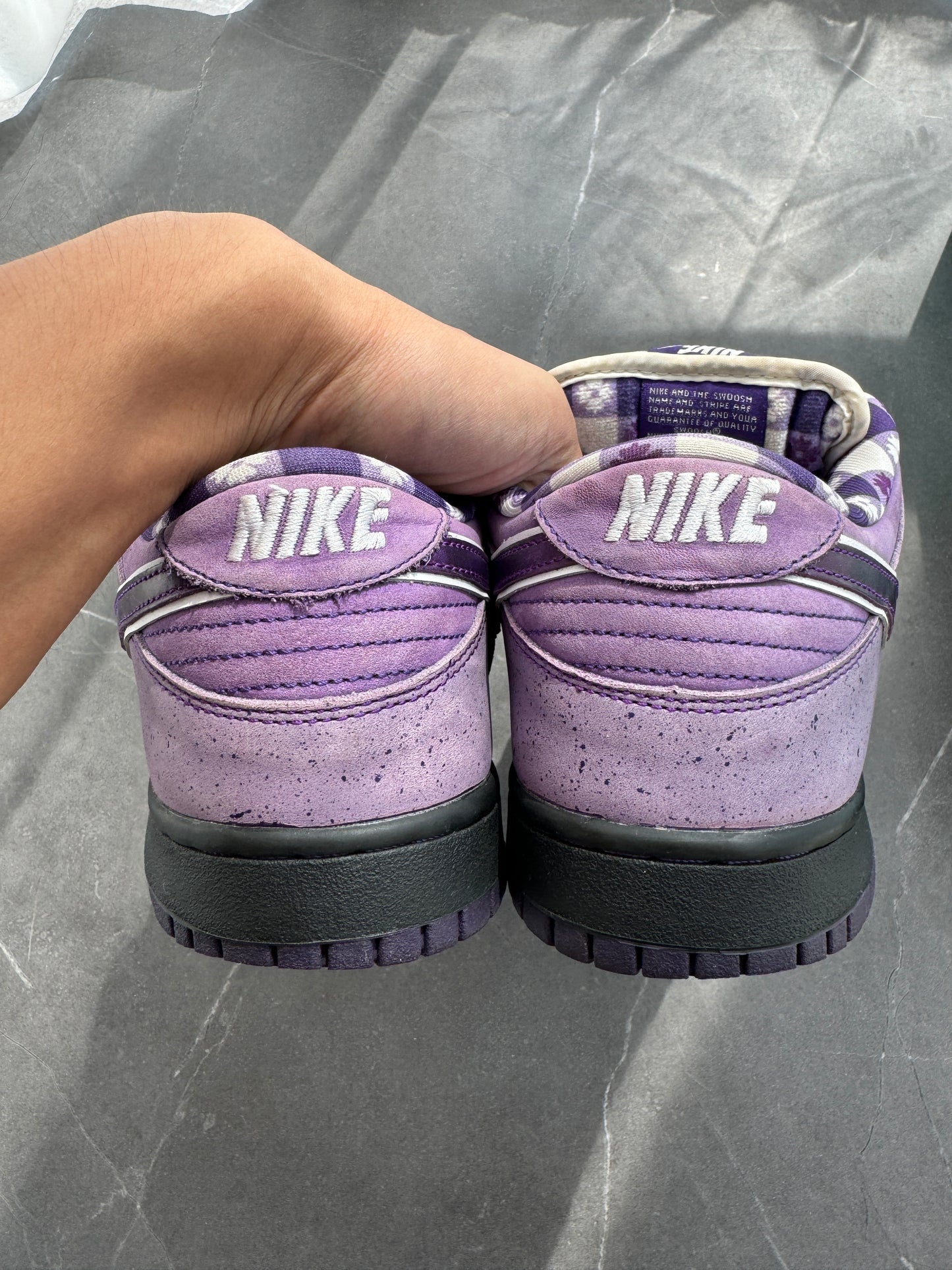 Dunk Low Pro SB Purple Lobster US10.5