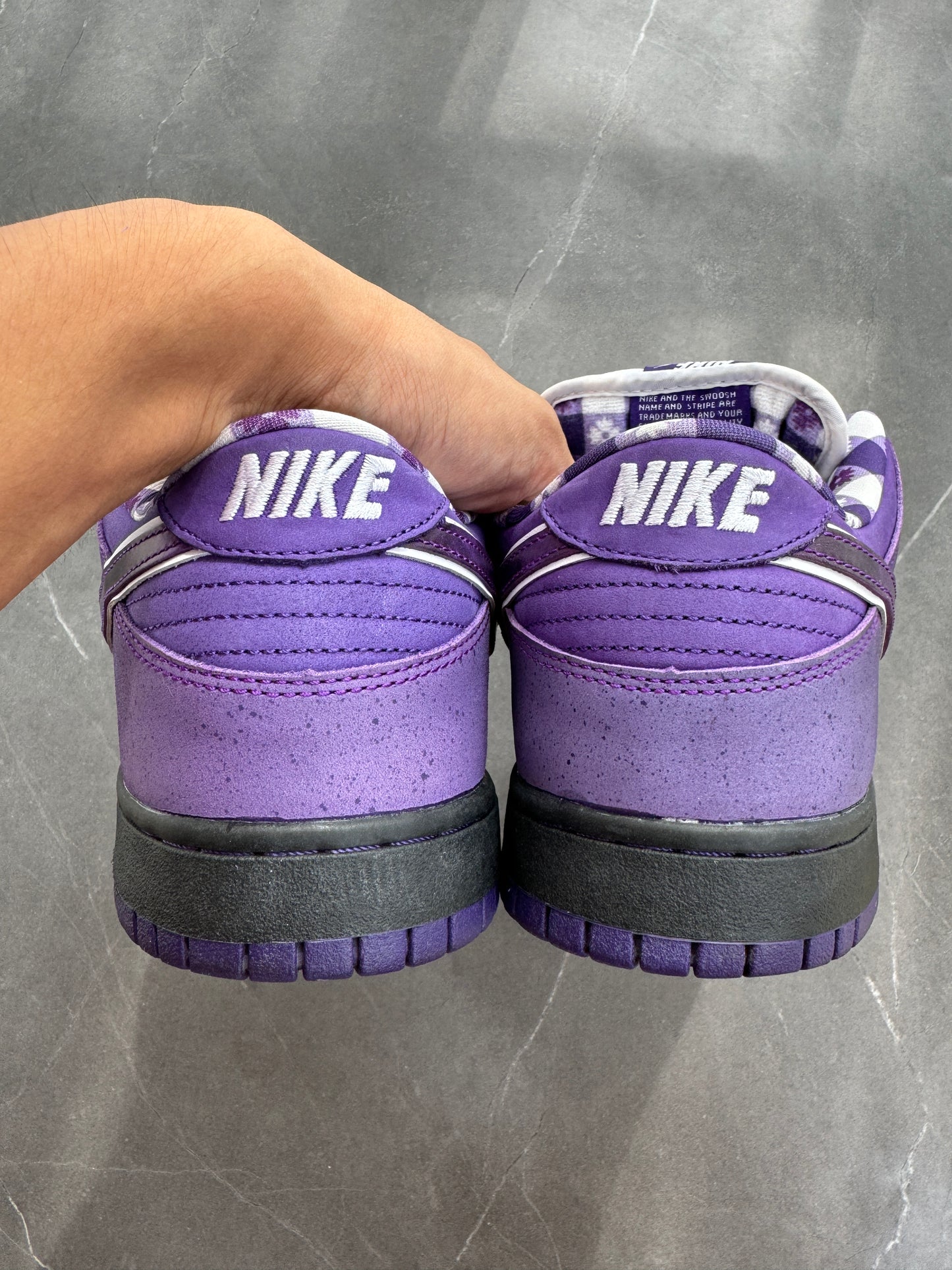 Dunk Low Pro SB Purple Lobster US11