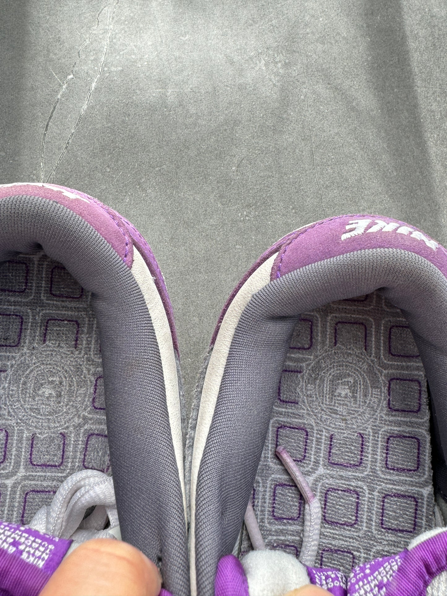 Dunk Low Pro SB Purple Pigeon 2006 US8