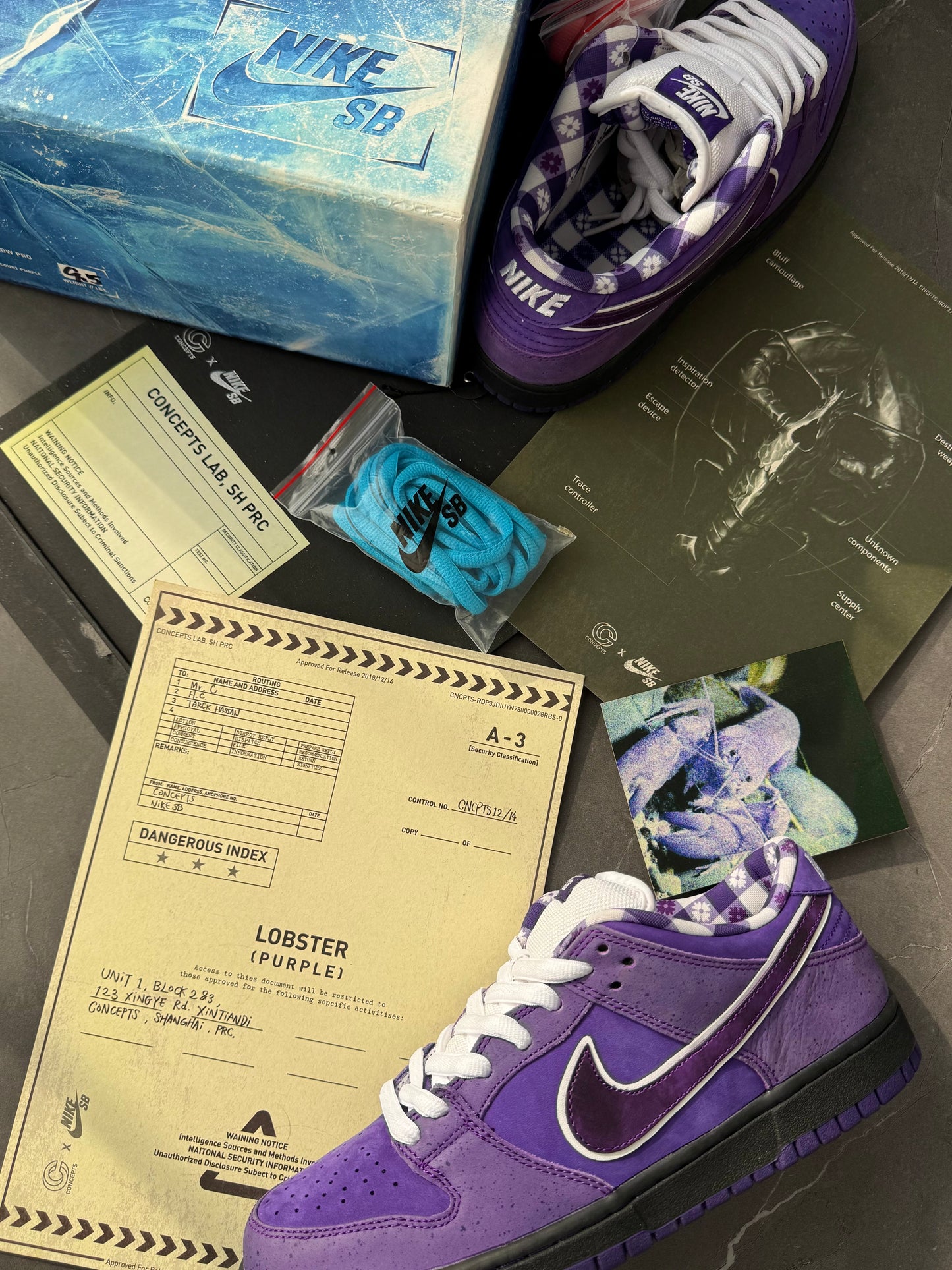 Dunk Low Pro SB Purple Lobster Special Box US9.5