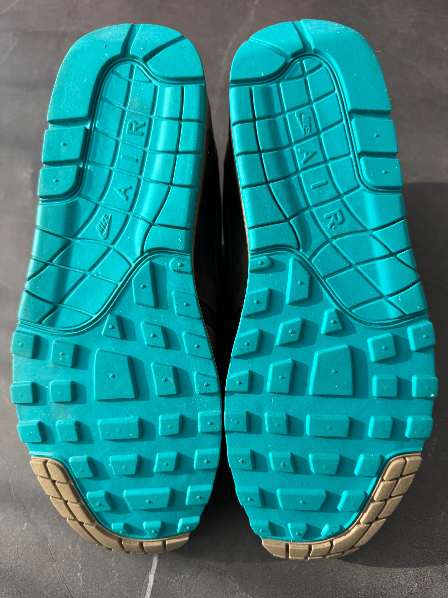 Air Max 1 Ridegerock 2017