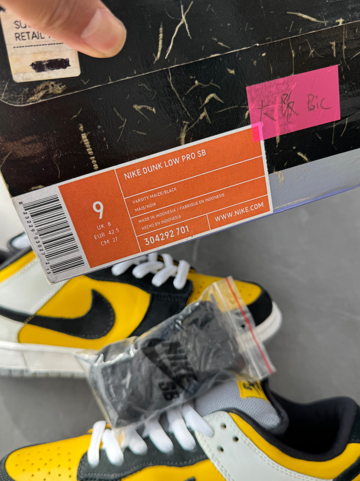 Dunk Low Pro SB Bic 2006 US9