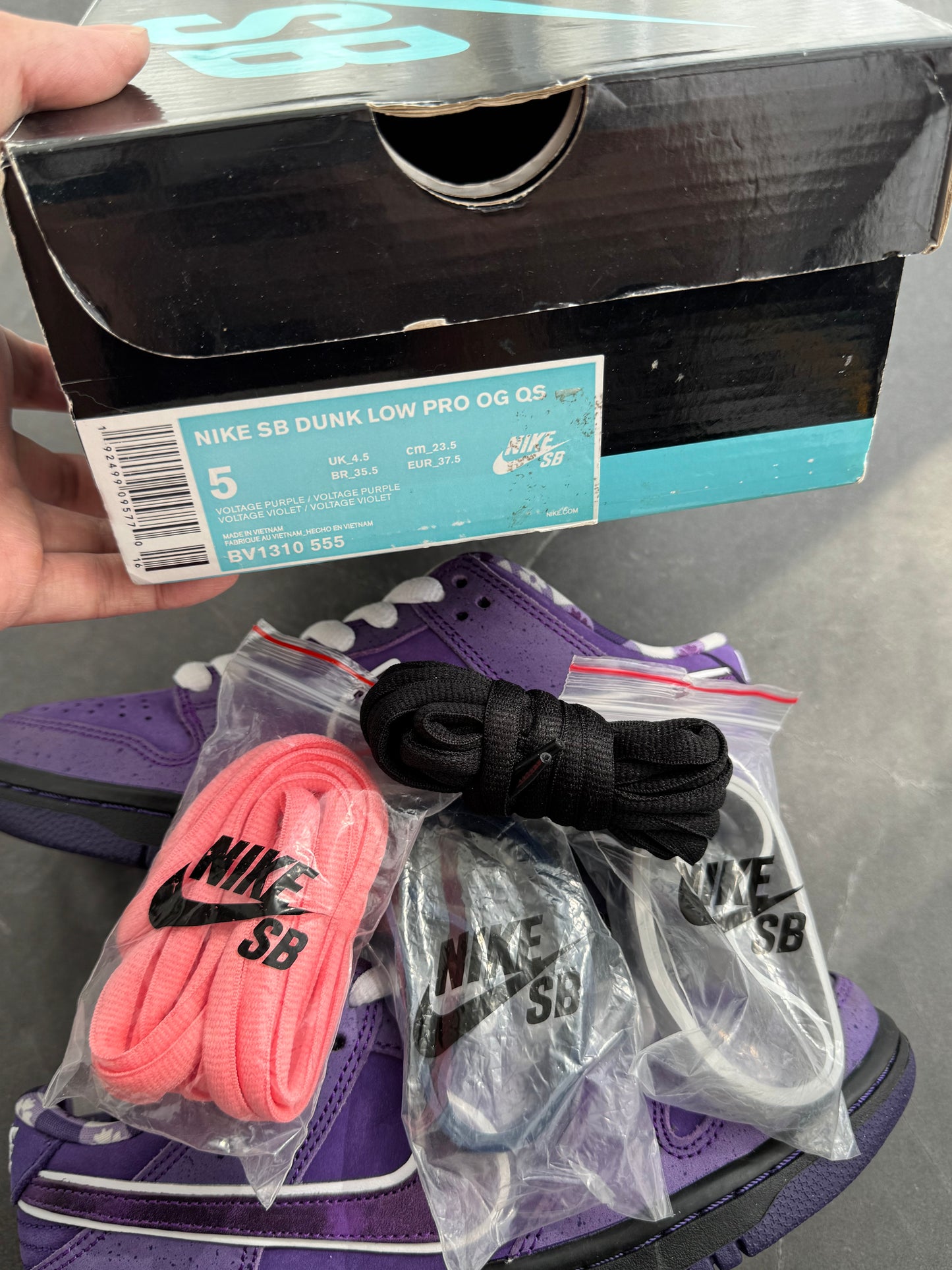 Dunk Low Pro SB Purple Lobster US5