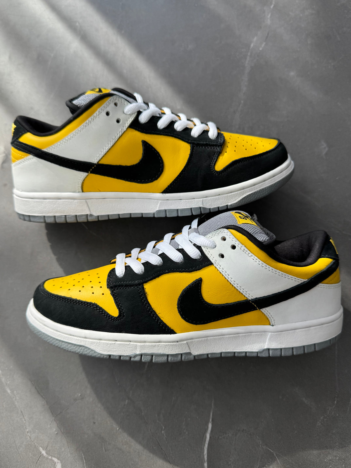 Dunk Low Pro SB Bic 2006 US9