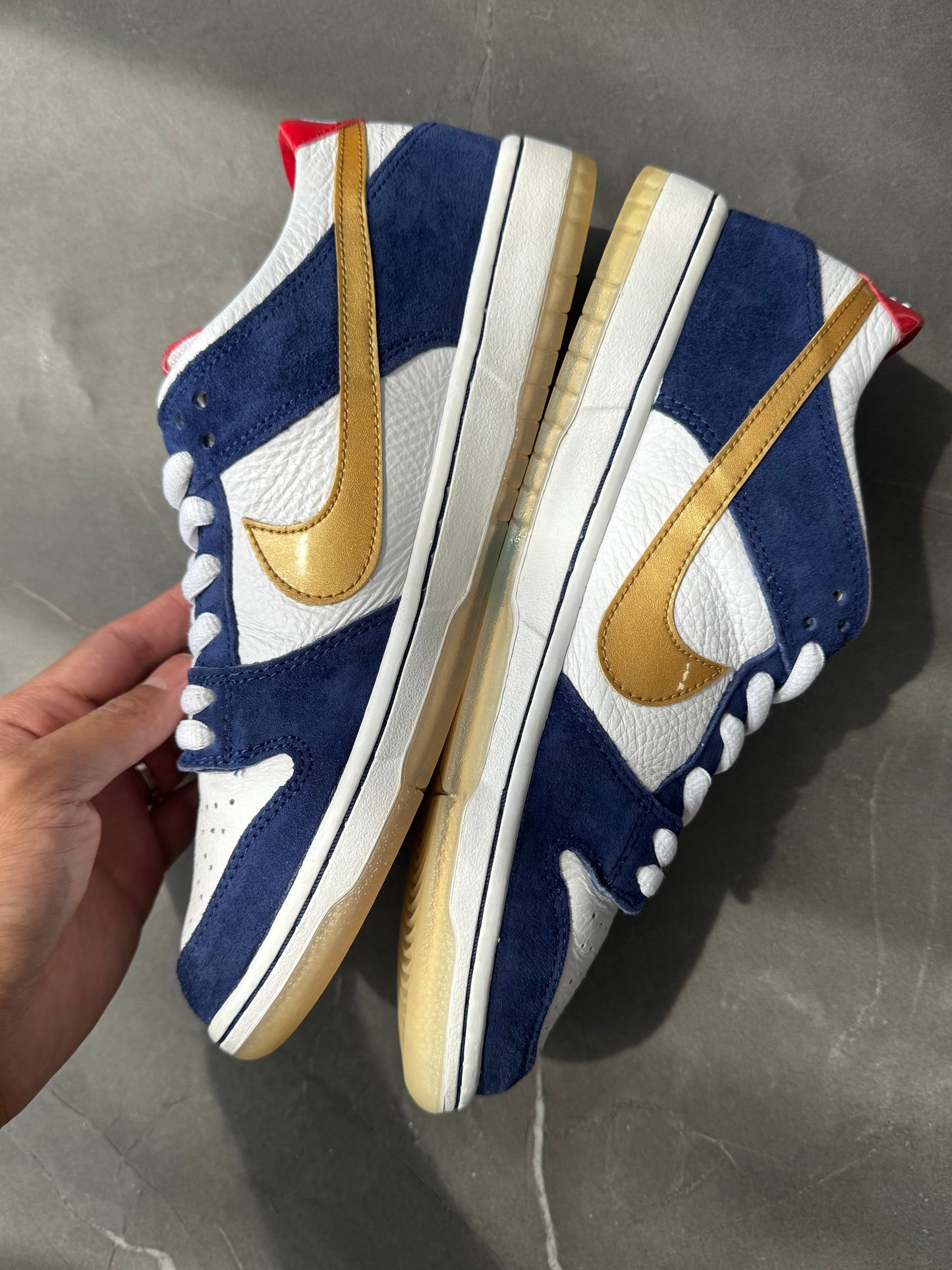 Dunk Low Pro SB Ishod Wair BMW 2015