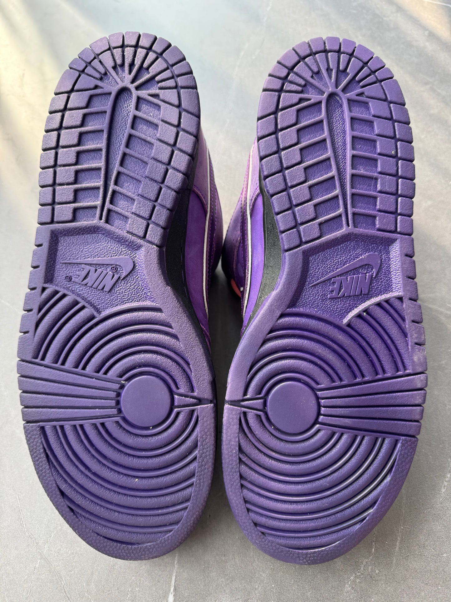 Dunk Low Pro SB Purple Lobster US9.5 Lot2