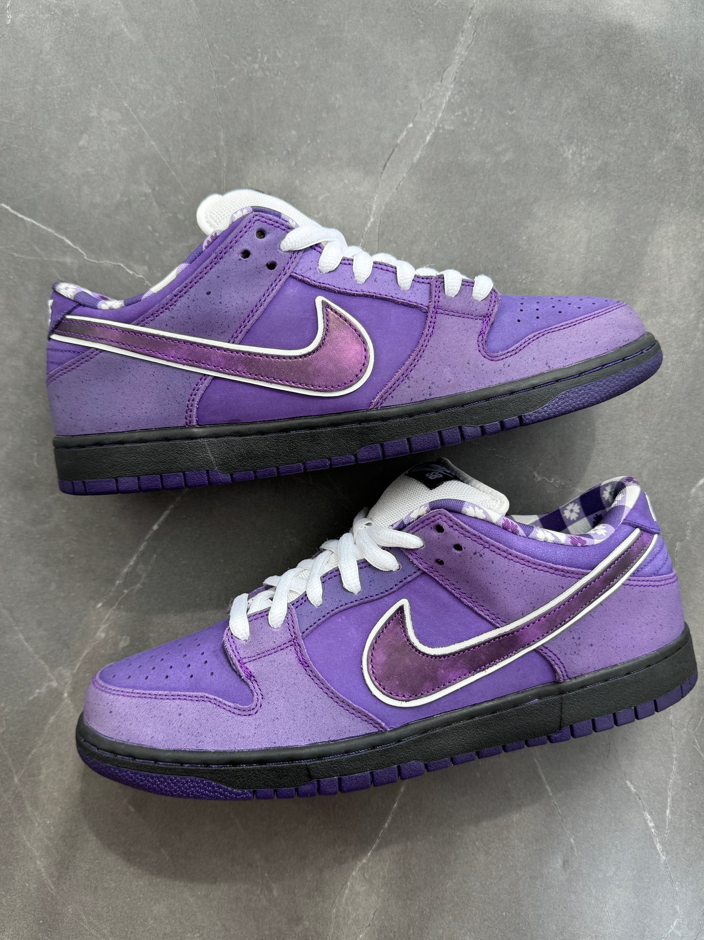 Dunk Low Pro SB Purple Lobster US11