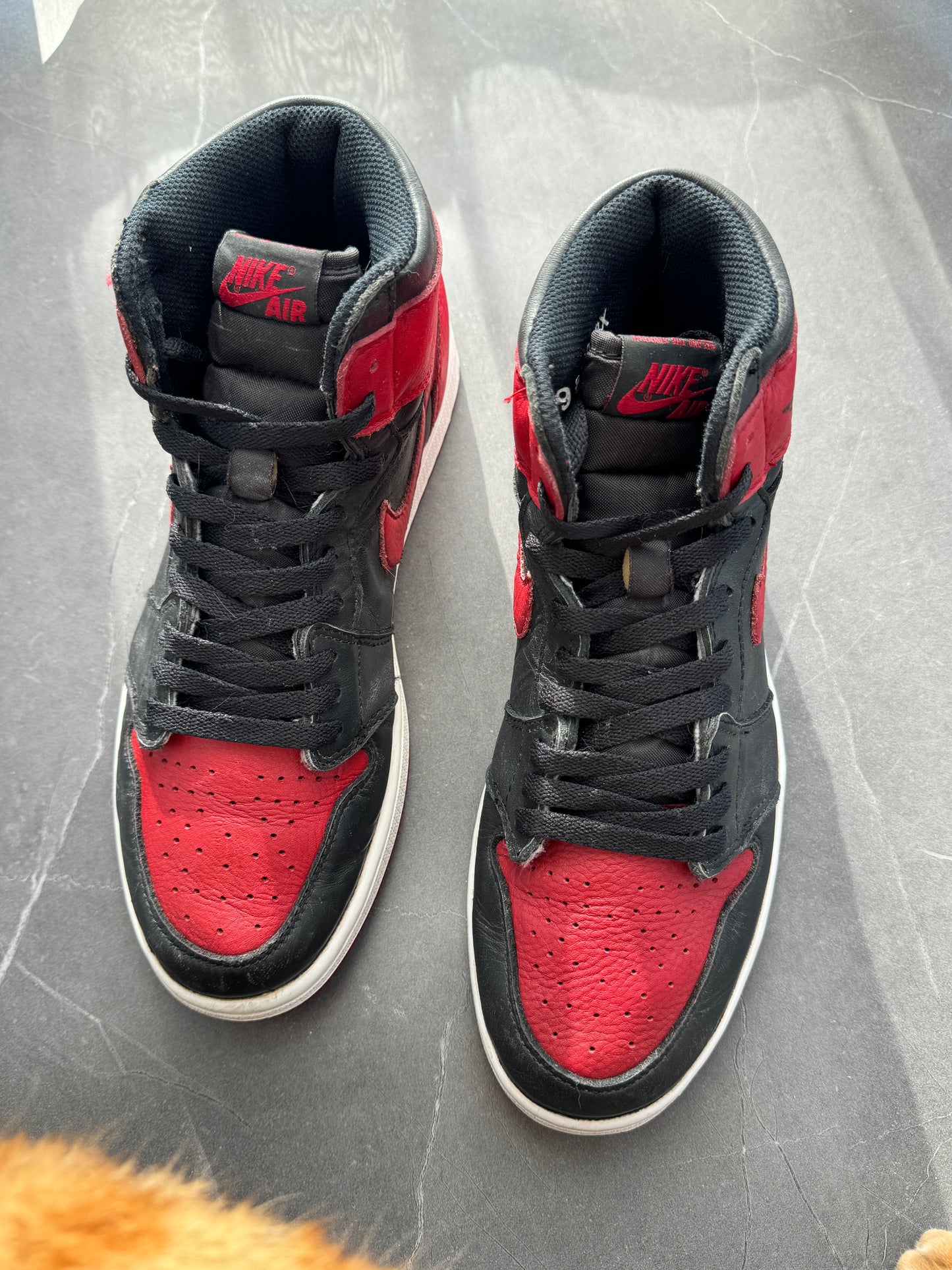 Air Jordan 1 High Bred Banned 2016 US9