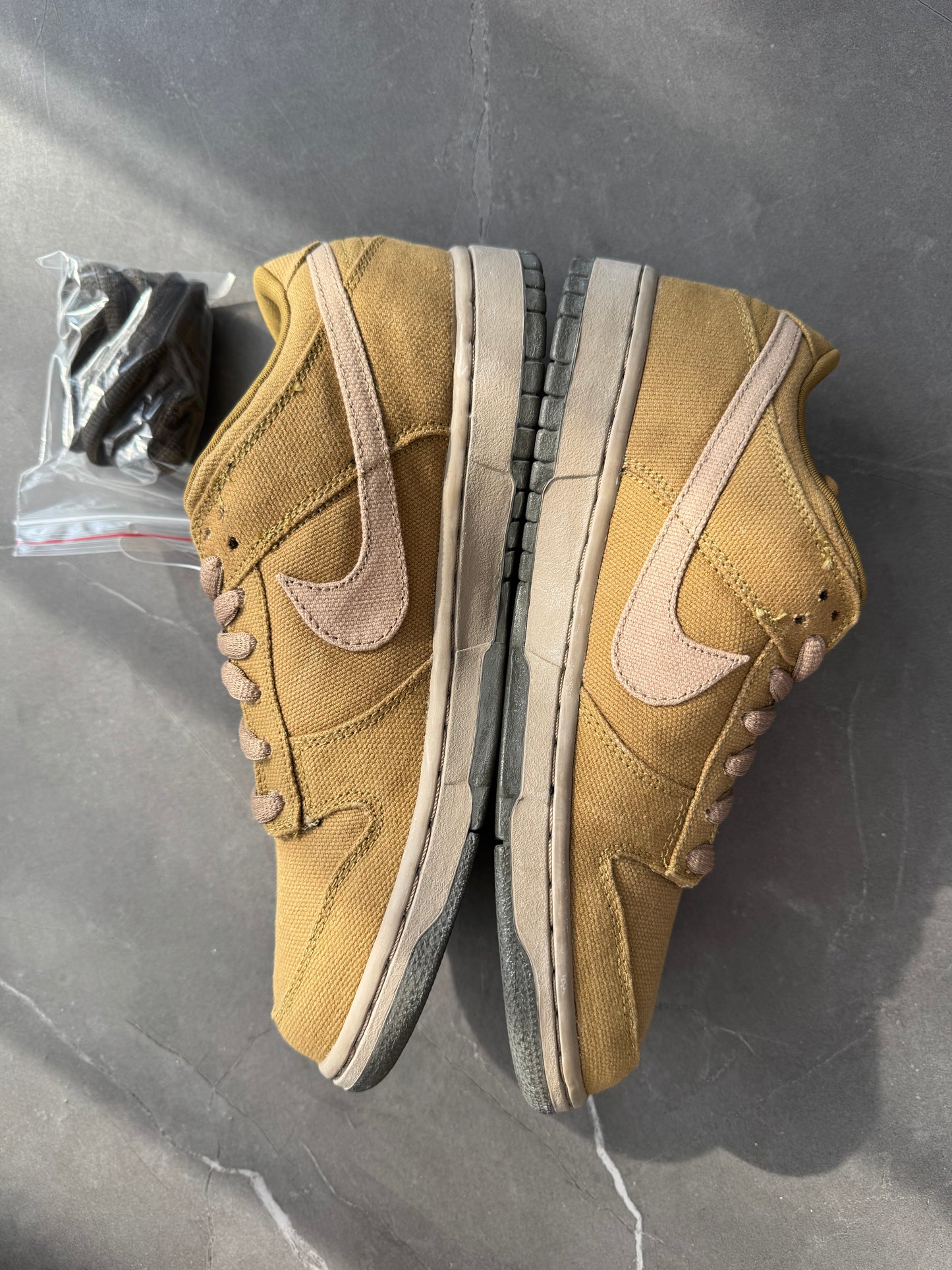 Dunk Low Pro SB Spanish Moss 2006