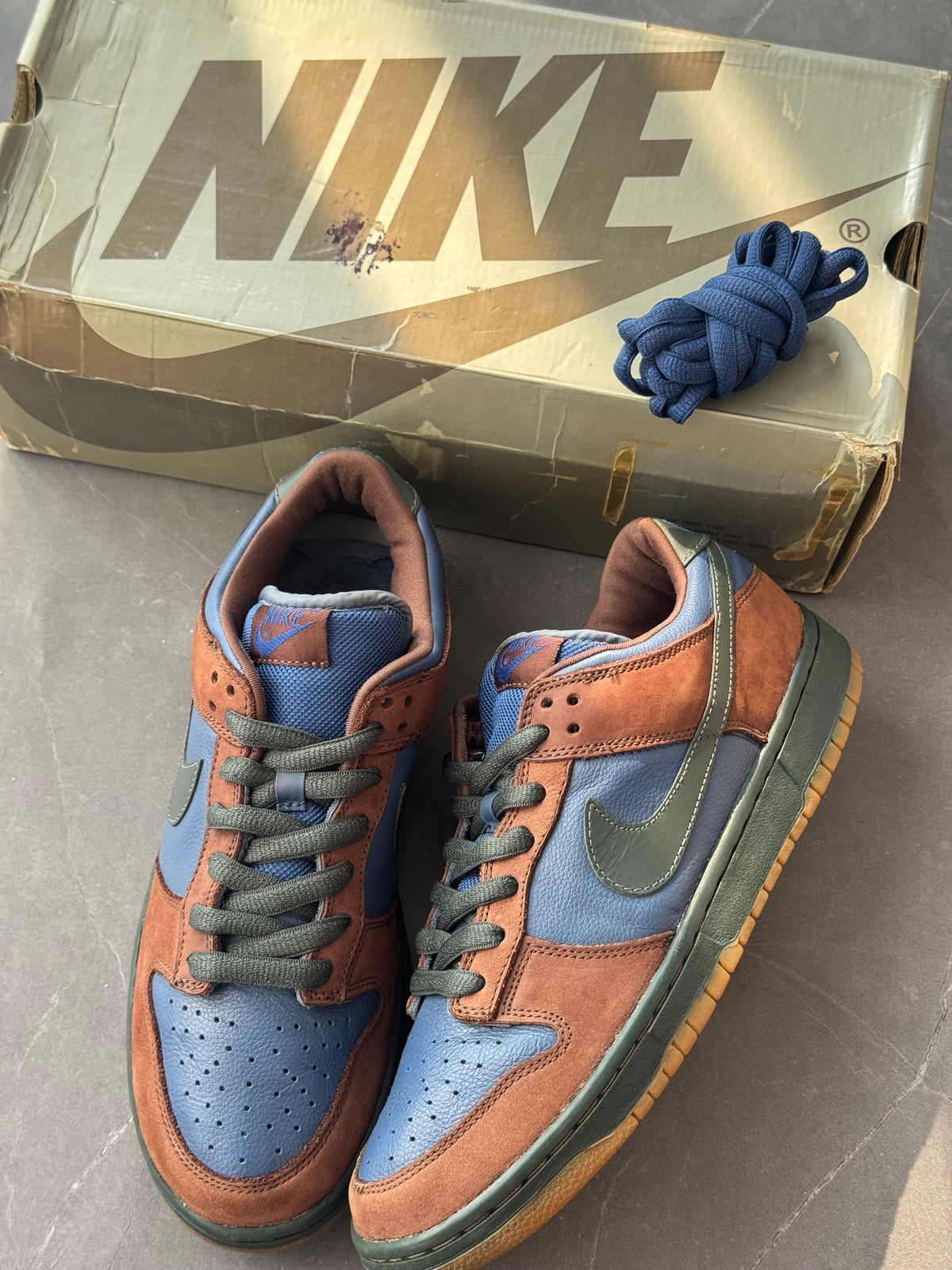 Dunk Low Pro SB Barf 2003