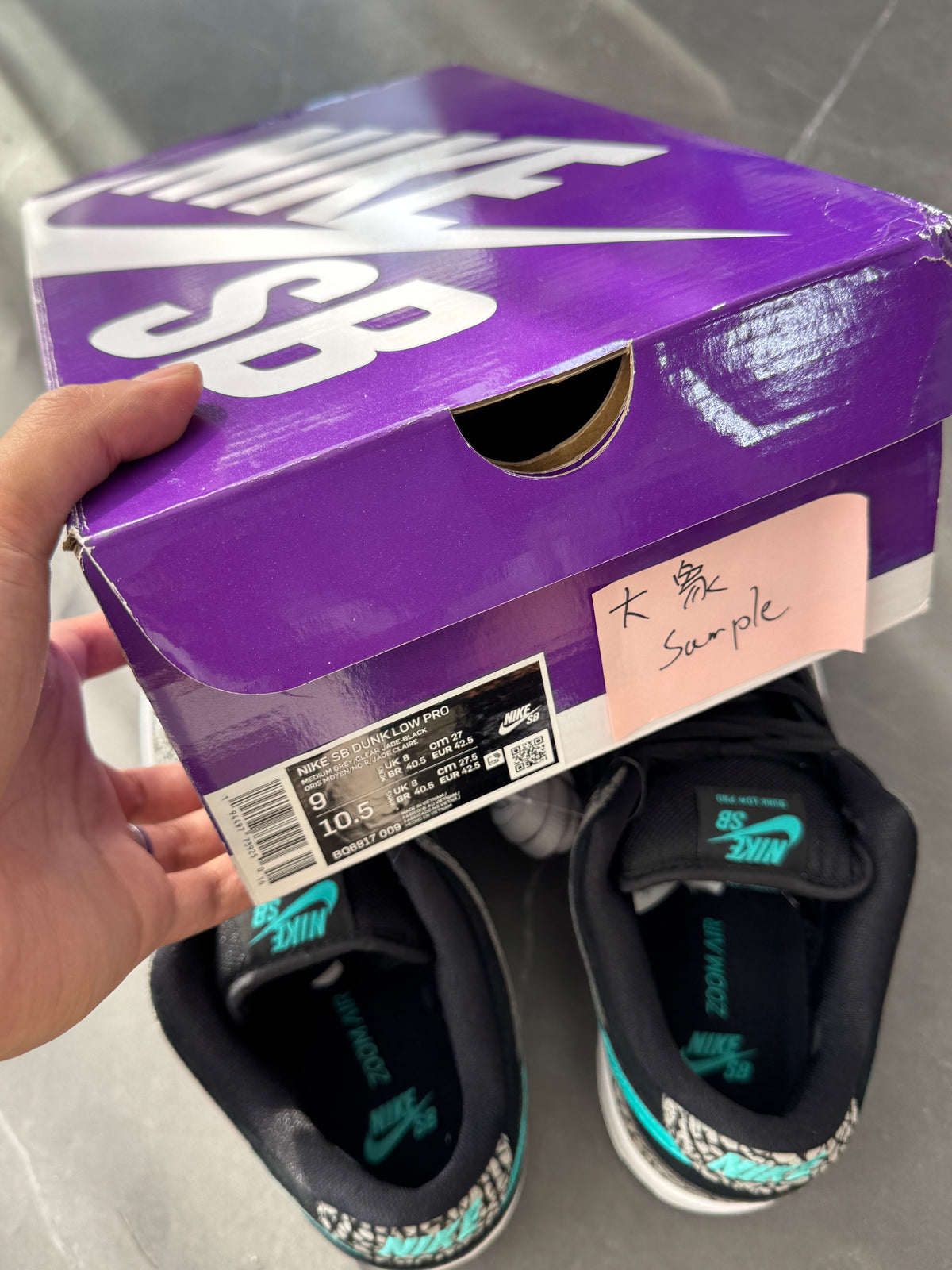 Dunk Low Pro SB Atmos Elephant