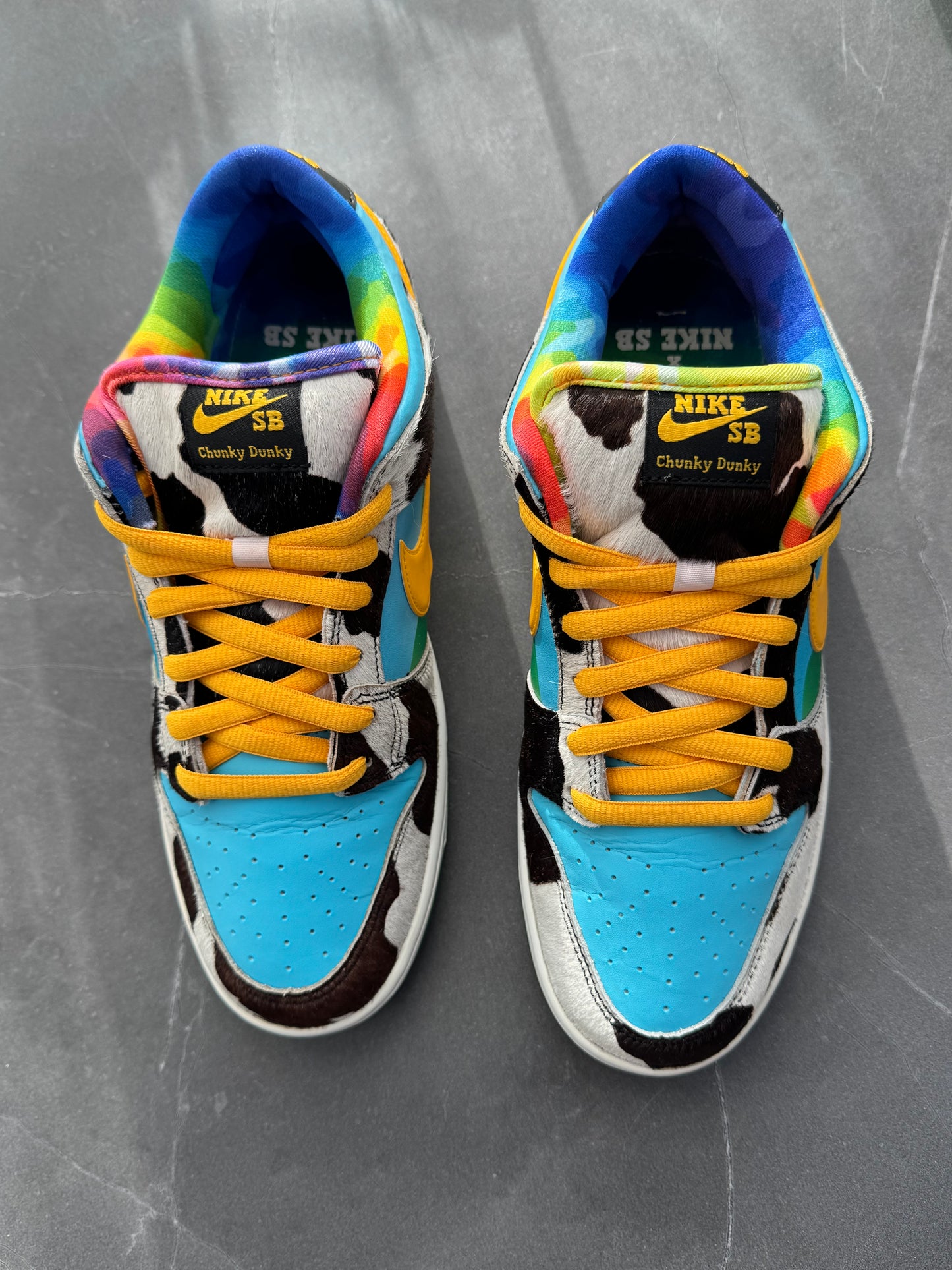 Dunk Low Pro SB Chunky Dunky US9