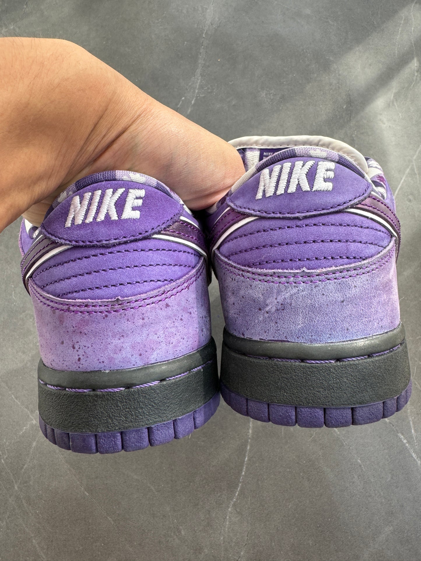 Dunk Low Pro SB Purple Lobster US8