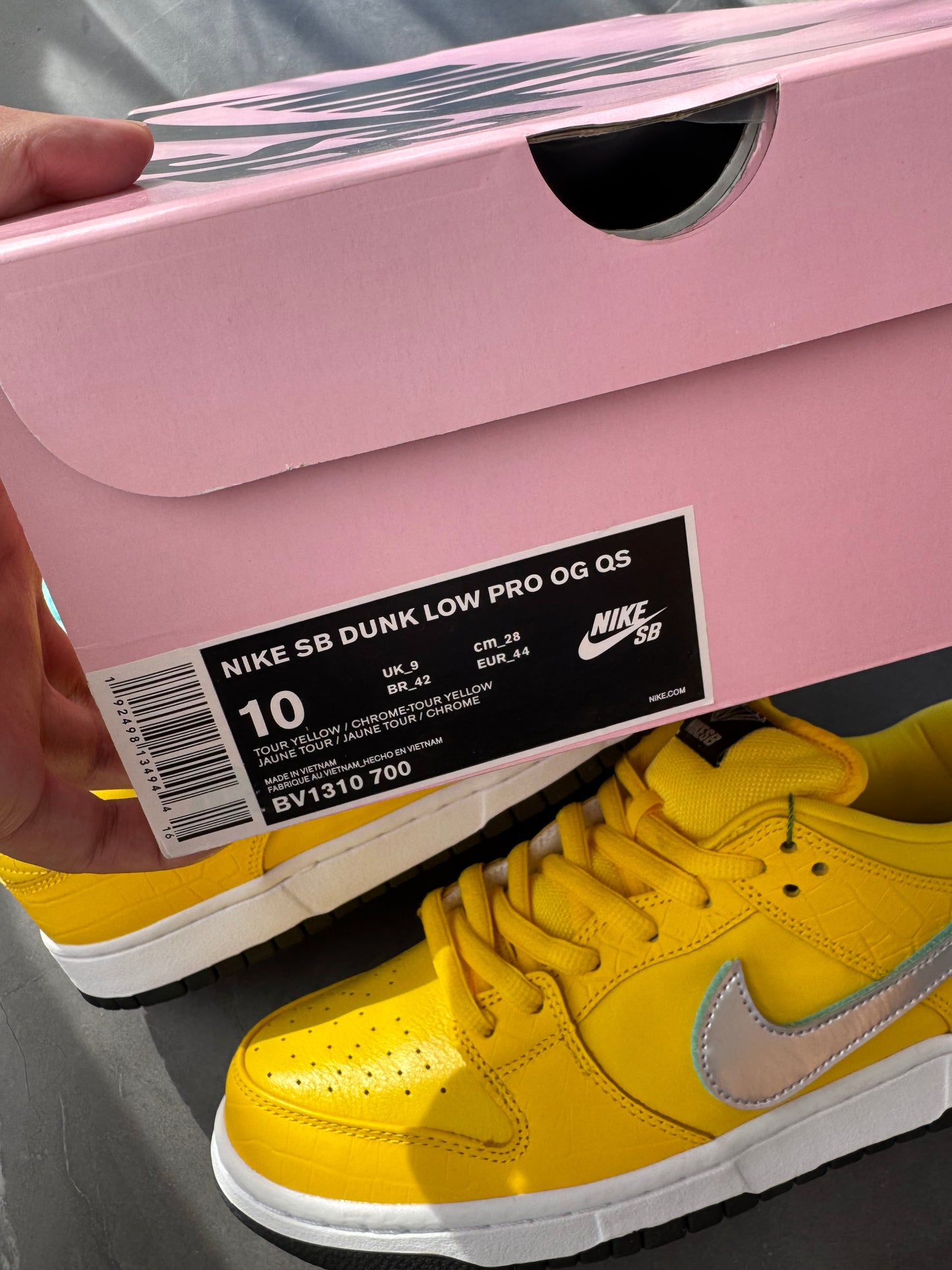 Dunk Low Pro SB Canary Diamond Friends & Family
