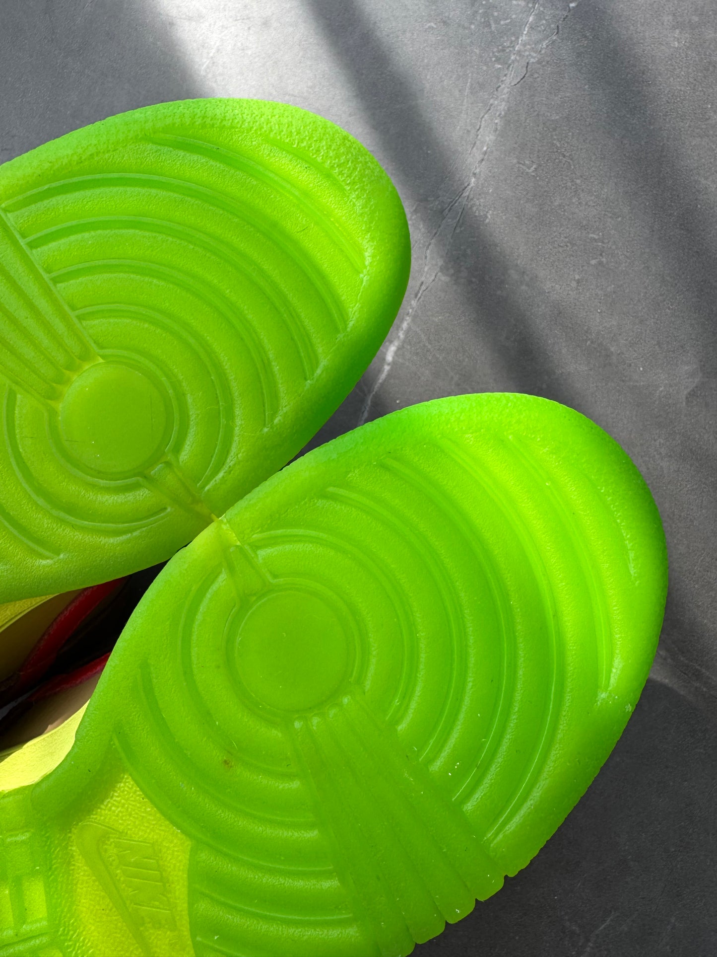 Dunk Low Premium SB Toxic Sea Robin 2009